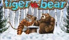 Tiger vs Bear